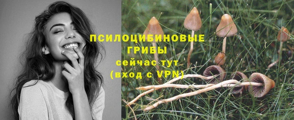 MDMA Гусев