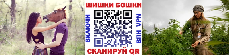 Конопля Ganja Кстово